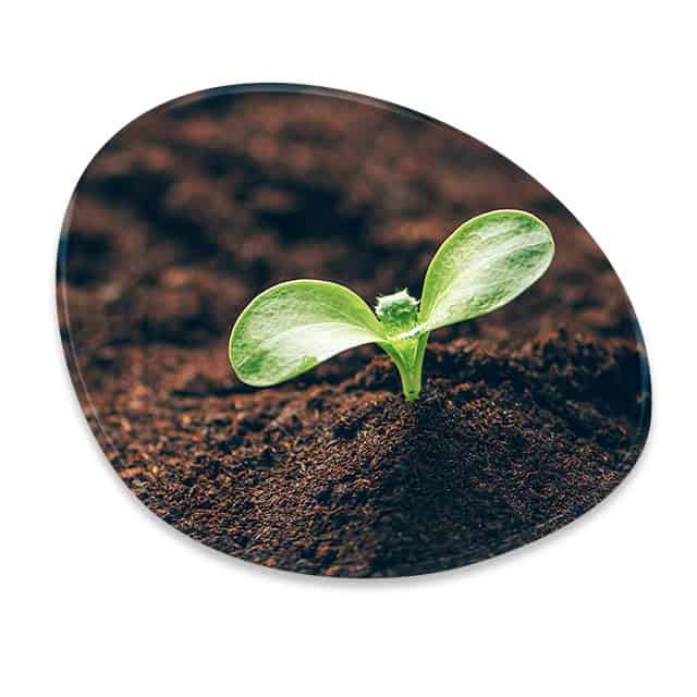 Element earth