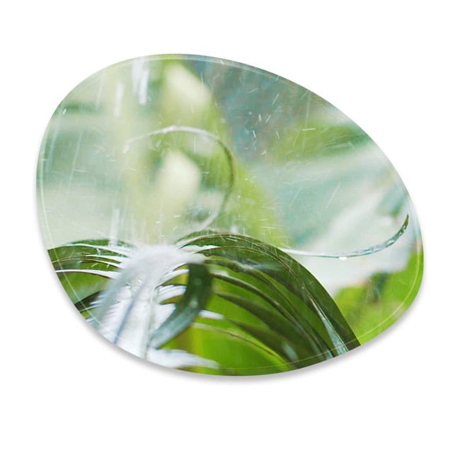 Jungle Rain